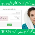 "8171 check online 2023 eligibility and payment verification portal"